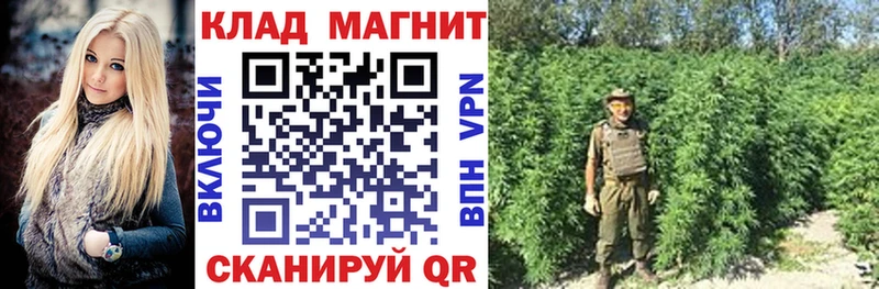 Где можно купить наркотики Валдай ГАШИШ  ГЕРОИН  МЕФ  Канабис  Псилоцибиновые грибы 