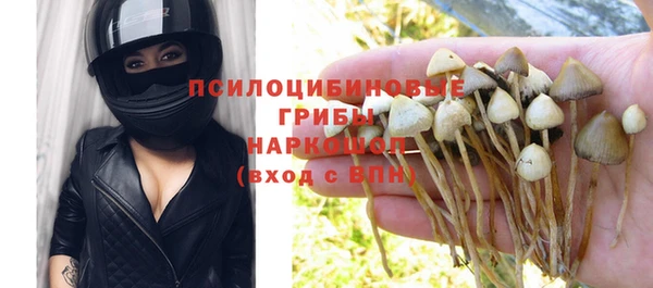 гидра Баксан