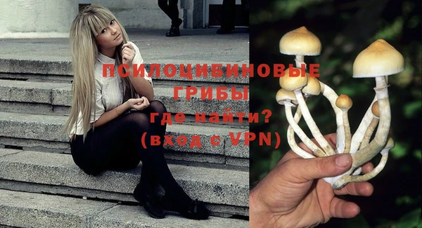гидра Баксан