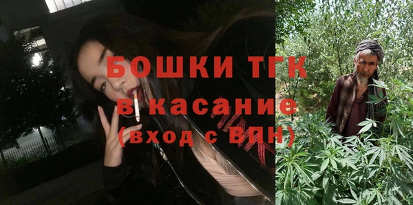 ешки Аркадак