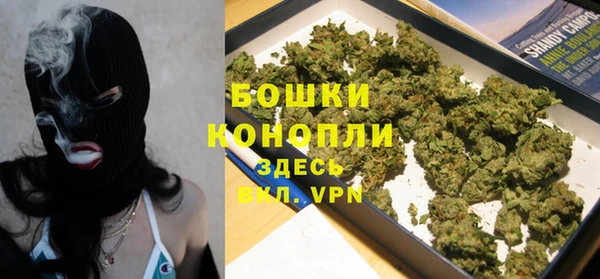 ешки Аркадак