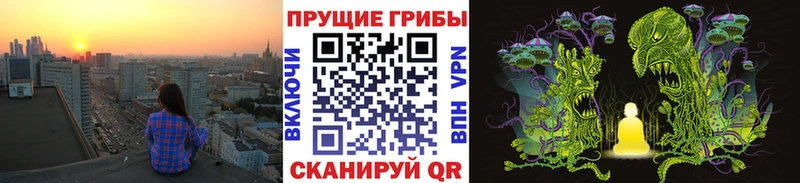 KRAKEN сайт  Валдай  Галлюциногенные грибы прущие грибы 